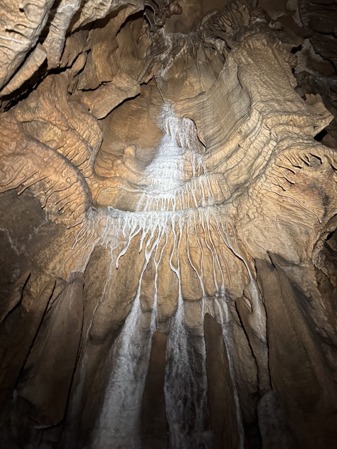 Signal Light Cave view 2